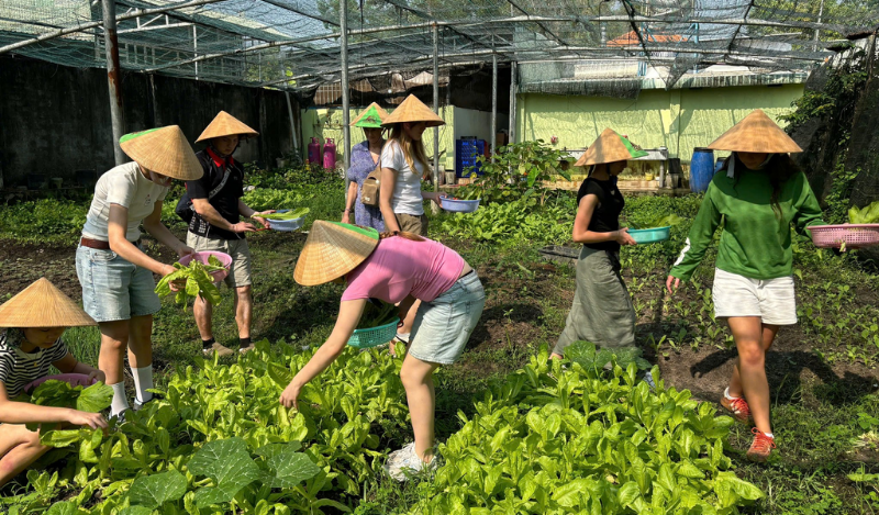 Hành Trình Làm Nông & Nấu Bữa Cơm Nhà